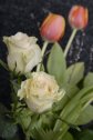 virág, sárga rózsa, tulipán
