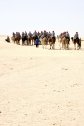 Tunézia, Djerba, Szahara, sivatagi túra, homok, nyaralás, sivatag, teve, tevegelés