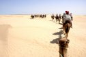 Tunézia, Djerba, Szahara, sivatagi túra, homok, nyaralás, tevegelés, sivatag, teve