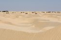 Tunézia, Djerba, Szahara, sivatagi túra, homok, nyaralás, teve, tevegelés, sivatag