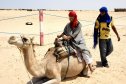 Tunézia, Djerba, Szahara, sivatagi túra, homok, nyaralás, sivatag, tevegelés, Enci, teve, berber
