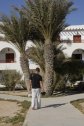 Tunézia, Djerba, Szahara, sivatagi túra, homok, nyaralás, Peti, pálma, hotel